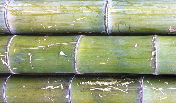 onderwijzen Aanpassen Stoel Moso natural groen – Bamboepaal